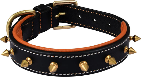 Genuine Leather Spike Dog Collar, 1" Wide, Full Grain Heavy Duty, Comfortable Inner Padded for Small Breeds (S, Fit