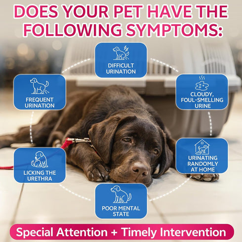 WEALLIN Cat & Dog Natural Urinary Tract Infection Treatment with Cranberry, Kidney, and Bladder Support Supplement