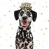 MR. CHUBBYFACE Winter Dog Collar, Adjustable Black Fleece Christmas Collar for Small Medium Large Dogs