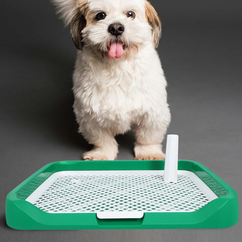Indoor Dog Potty Tray with Raised Mesh Grate, Portable Small to Medium Dog Bedpan for Puppy Training and Indoor