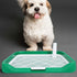 Indoor Dog Potty Tray with Raised Mesh Grate, Portable Small to Medium Dog Bedpan for Puppy Training and Indoor