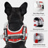 Service Dog Vest Harness - No Pull Training Harness with Handle & 5ft Leash, Adjustable Reflective No Choke for Pets