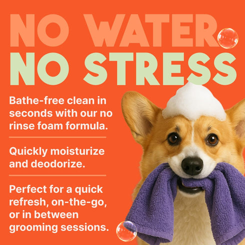 TropiClean No Rinse Waterless Dog Shampoo, Detangling & Deodorizing Dry Shampoo for Smelly Pets, 7.4oz, Papaya Scent