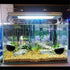 Tfwadmx 4 Pack Aquarium Plant Holder Crystal Glass Plant Pot with Suction Cups for Fish Tank Aquascape
