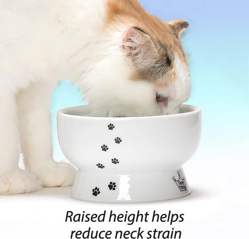 Necoichi Raised Cat Water Bowl, Elevated with Measurement Lines, Dishwasher and Microwave Safe, Regular Size