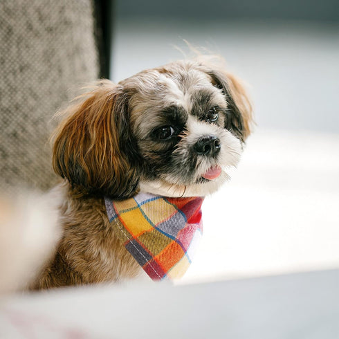 Segarty Dog Bandanas, 30 Pack 22.8"x15.7" | Triangle Plaid Bibs for Medium Small Dogs, Adjustable Washable Kerchief