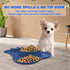AsFrost Dog Food Bowls, Stainless Steel Set with Non-Slip Silicone Mat, Dog Dishes for Small Medium Dogs, Blue