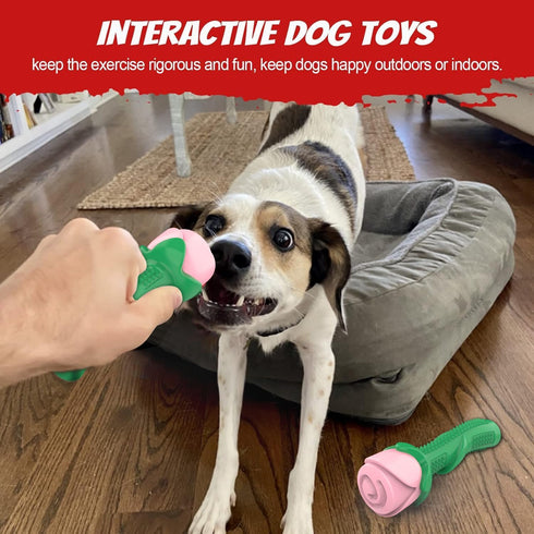 ucho Interactive Chew Toys for Aggressive Chewers, Dog Toy for Training and Teeth Cleaning (Champagne, Roses)