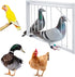 15.7in Pigeon Cage Door, One Way Entrance Bird T-Trap for Racing Pigeon Breeding Supply