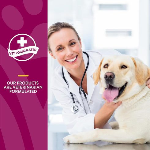 NaturVet ArthriSoothe-Gold Level 3 Joint Care for Dogs, Soft Chew Supplement with Glucosamine, 180 Ct.