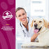 NaturVet ArthriSoothe-Gold Level 3 Joint Care for Dogs, Soft Chew Supplement with Glucosamine, 180 Ct.