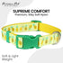 Parisian Pet Pineapple Dog Collar - Adjustable Pattern Buckle Safety Collar for Medium Dogs, Nylon-Breathable