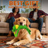 5-Pack No Stuffing Dog Toys, Squeaky Plush with Crinkle to Keep Them Busy, Pull-tab Toys for Tug of War, Animal Shaped