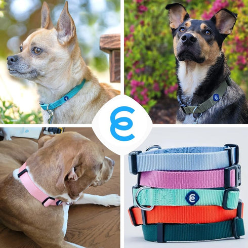 Blueberry Pet Essentials Large Dog Collar, Adjustable Classic Solid Color Nylon Collar for Large Dogs, True Navy