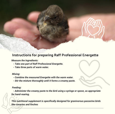 250g Raff Energette Hand Rearing Bird Food Baby Bird Hand Feeding Formula and Abandoned Chick Formula, Concentrated