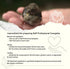250g Raff Energette Hand Rearing Bird Food Baby Bird Hand Feeding Formula and Abandoned Chick Formula, Concentrated
