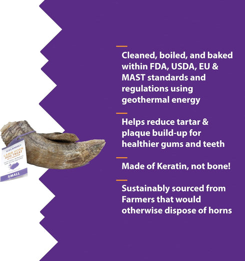 Icelandic+ Lamb Horn with Marrow - Small 4-5.5" Dog Chew, All-Natural Edible Treat for Puppies and Small Dogs