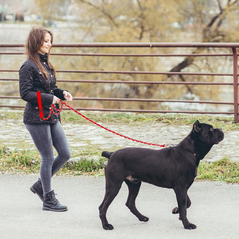 Homimp Reflective Chain Dog Leash, Chew Proof Metal Leash for Large Dogs, 6 FT with Soft Padded Handle (Red)