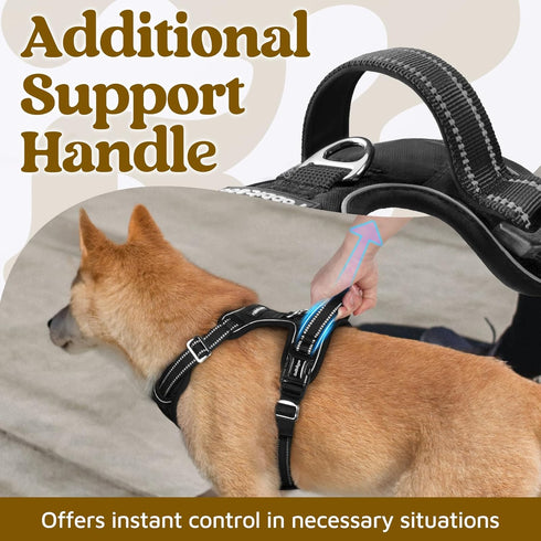 rabbitgoo Medium Dog Harness, No Pull Vest with 3 Buckles, Adjustable Soft Padded Harness with Easy Control Handle,