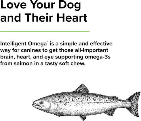 Terry Naturally Animal Health Intelligent Omega, 60 Soft Chews, Omega 3 from Salmon for Dogs, Promotes Brain & Eye