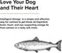 Terry Naturally Animal Health Intelligent Omega, 60 Soft Chews, Omega 3 from Salmon for Dogs, Promotes Brain & Eye