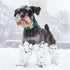 MR. CHUBBYFACE Winter Dog Collar, Adjustable Christmas Pet Collar for Small Medium Large Dogs (Green)