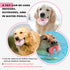 Cute Donut Dog Toy, Indestructible Squeaky Chew Toy for Aggressive Chewers, Medium & Large Breeds (Pink)