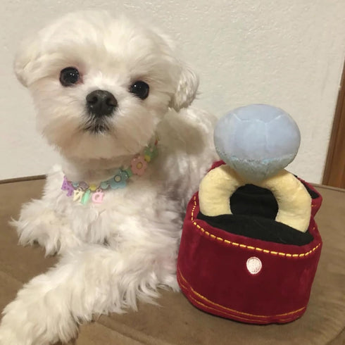 Valentines Dog Wedding Toy Engagement Plush Ring Box for Dog Birthday Gifts, Funny Plush Toys Squeaky Chew for Party