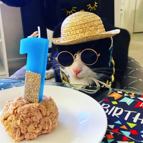 Weewooday 6 Pieces Dog Cat Costume - Pet Sunglasses and Summer Straw Hat with Faux Gold Chain Collar for Small Medium