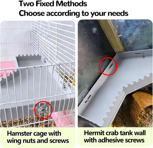 Hamiledyi Hermit Crab Platform with Ladder Climbing Toys Hermit Crab Climbing Wall Shelf Habitat Reptile Tank Decor