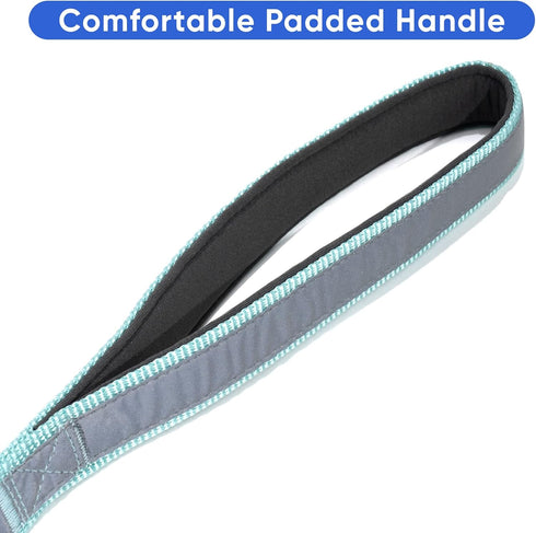 Pawtitas Heavy Duty Double Handle Dog Leash for Training, No Pull, Ideal for Medium Large Dogs - Great for Walking,