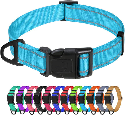TagME Adjustable Reflective Nylon Dog Collars, Quick Release Buckle for Medium Dogs, Sky Blue, 1.0" Width
