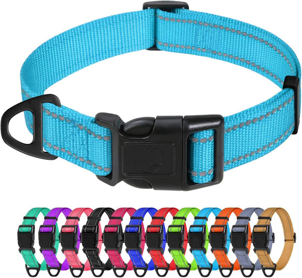 TagME Adjustable Reflective Nylon Dog Collars, Quick Release Buckle for Medium Dogs, Sky Blue, 1.0" Width