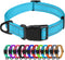 TagME Adjustable Reflective Nylon Dog Collars, Quick Release Buckle for Medium Dogs, Sky Blue, 1.0" Width