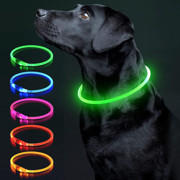 LED Light Up Dog Collar, USB Rechargeable TPU Glow Safety Collar for Large Medium Small Dogs (Green)