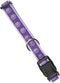 Guardian Gear Nylon Two-Tone Dog Collar, Purple, Fits Necks 6" to 10"