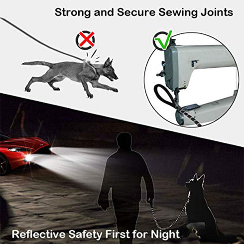 2 Pack Dog Leash 5 FT Heavy Duty Nylon Rope with Comfortable Padded Handle, Sturdy Reflective Threads for Medium Large