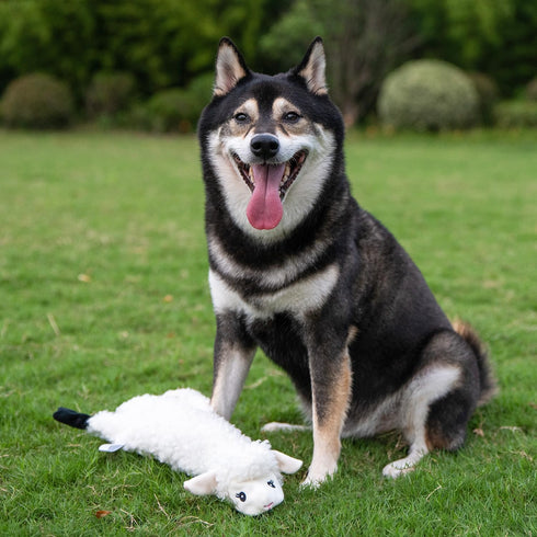 Best Pet Supplies 2-in-1 Stuffless Squeaky Dog Toys, Soft, Durable Fabric for Small, Medium, and Large Pets