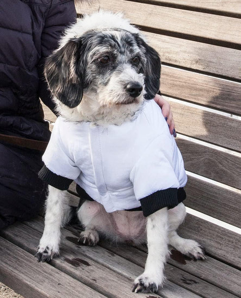 Pet Life Aspen Winter White Dog Jacket Parka - Dog Coat with 3M Thinsulate Insulation Technology for Small Medium and