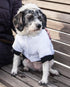 Pet Life Aspen Winter White Dog Jacket Parka - Dog Coat with 3M Thinsulate Insulation Technology for Small Medium and