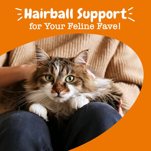 Zesty Paws Hairball Bites for Cats, Functional Supplement for Gut & Skin Health, 60 Count
