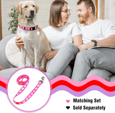 Native Pup Valentine’s Dog Collar, Adjustable for Small, Medium, Large Breeds, Candy Hearts, Small