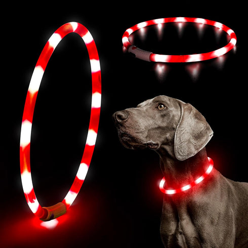HIGO Light Up Dog Collar - Lightweight USB Rechargeable LED Collar for Dogs and Cats Walking at Night (Red-Silicone)