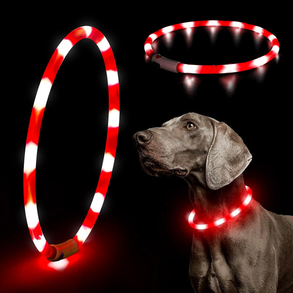 HIGO Light Up Dog Collar - Lightweight USB Rechargeable LED Collar for Dogs and Cats Walking at Night (Red-Silicone)