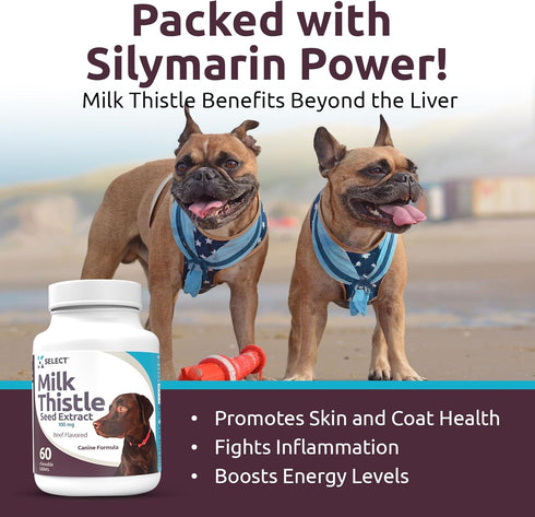 K9 Select Milk Thistle for Dogs, 100mg - 60 Beef Flavored Tablets for Canine Liver Health Supplement