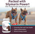 K9 Select Milk Thistle for Dogs, 100mg - 60 Beef Flavored Tablets for Canine Liver Health Supplement
