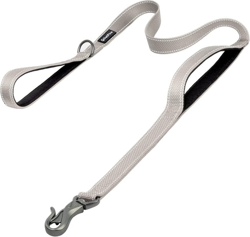 PetiFine 5FT Heavy Duty Dog Leash with Soft Padded Double Handle, Reflective Nylon for Large, Medium, Small Dogs