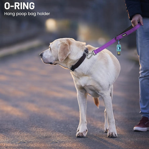 Short Traffic Dog Leash 2 ft, Reflective Nylon Lead with Padded Handle for Large and Medium Dogs, Purple