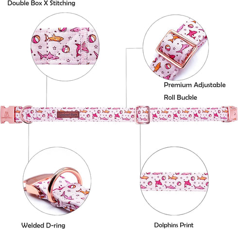 Lionheart Glory Dog Collar, Pink Shark Print, Adjustable Durable Collar for Medium Dogs, Male or Female Spring Summer