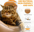 YoPoll Trimming 4 1 Cat Dog Grooming Vacuum Kit with Brush, Low-Noise Pet Hair Shedding Grooming for Indoor Cats Dogs